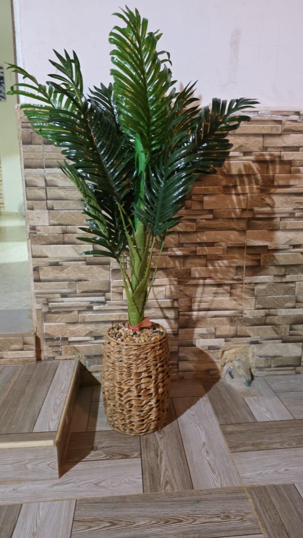 دار العم ابو الياس